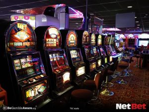 pgeeee - Plataforma Bet Login